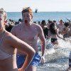 Nude Polar Bear Swim Pictures Xxx Top Pictures Free Comments